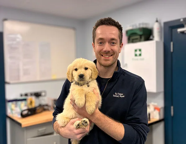 Ashwood vet with a puppy